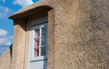 Neopardy thatch roof disadvantages